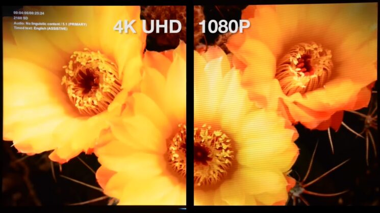 watch 1080p resolution content on your 4K TV sets