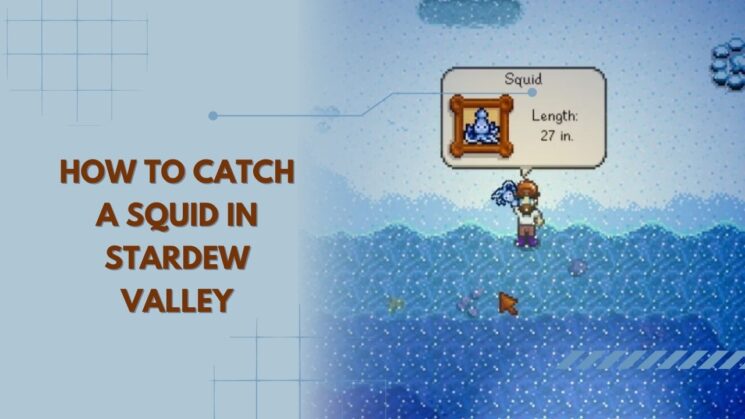 How To Catch A Squid In Stardew Valley tips