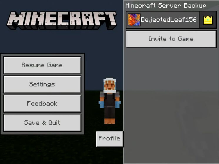 Why Can't I Join My Friend's Minecraft World - Simple Steps To Help ...
