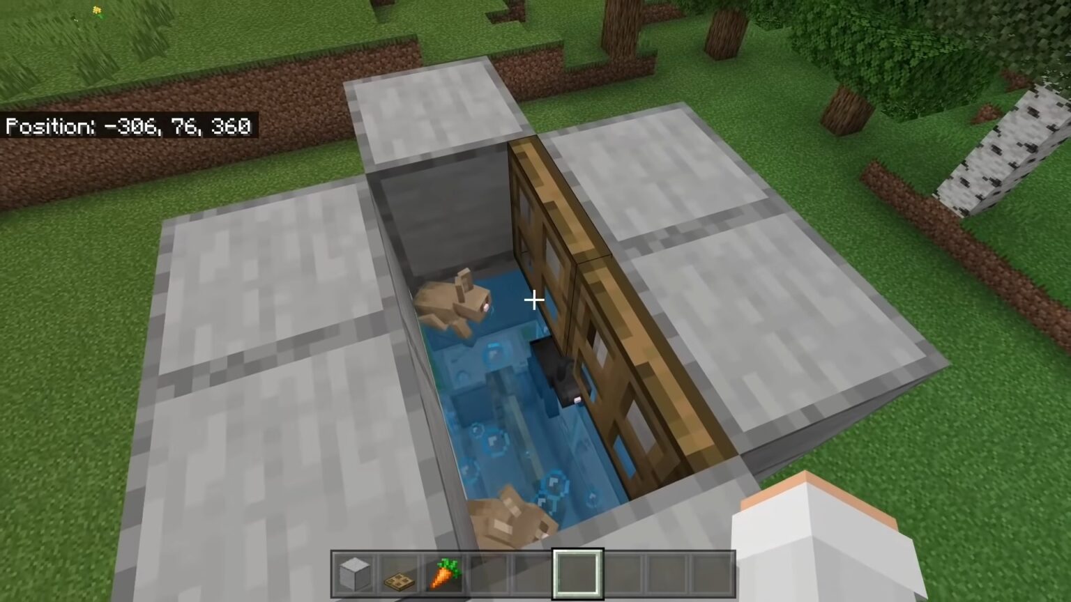 How To Tame A Rabbit In Minecraft? Are They Tamable In Minecraft?