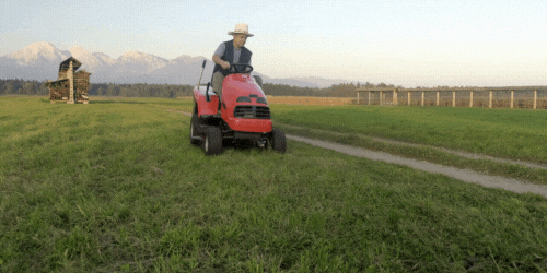 BEst Electric Lawn Mowers