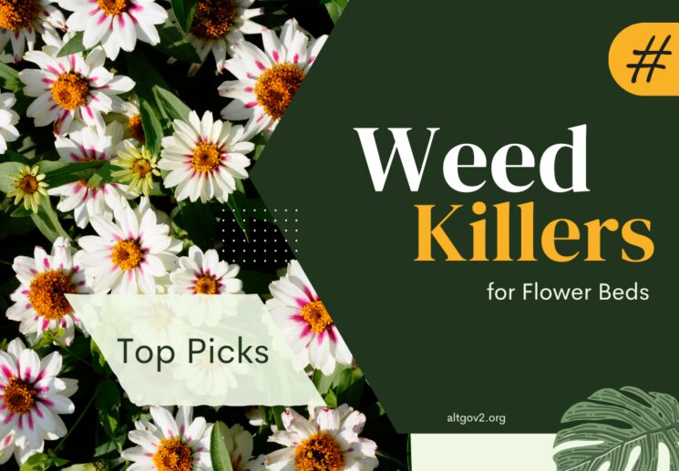 Weed Killers for Flower Beds Review