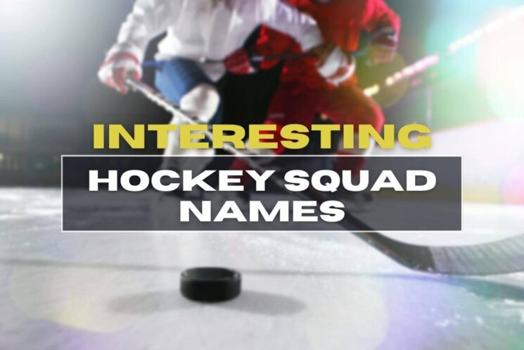 Interesting Hockey Squad Names
