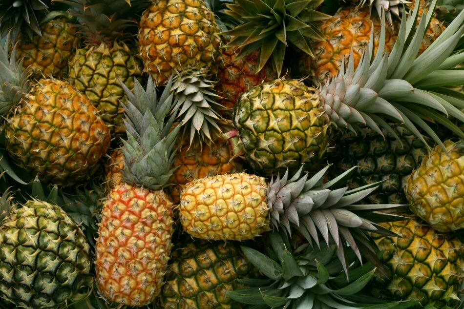 What Does Pineapple On Porch Mean at Oscar Vega blog