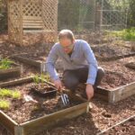 Harvesting Happiness Tips For Starting Your Own Vegetable Garden