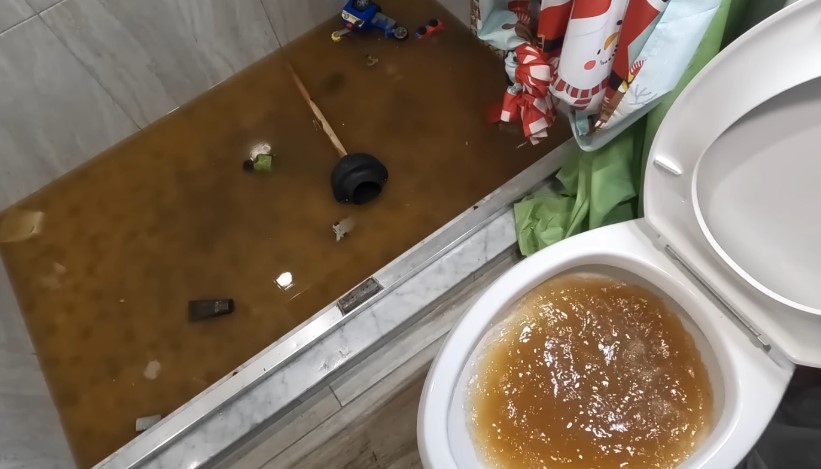 Overflowing bathtub and toilet, a plumbing disaster